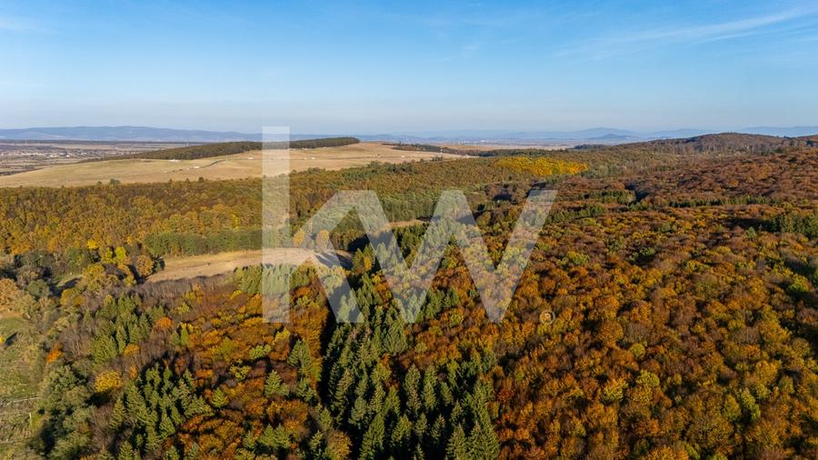 Teren agricol intravilan de 500 mp, în Codlea