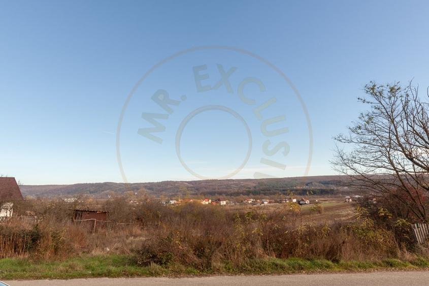 Casa de vanzare 20 km de Pitesti in Com. Malureni-Bunesti- Jud. Arges! - 16