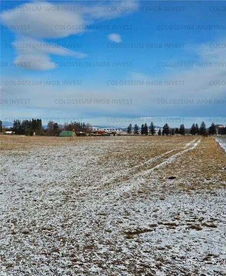 COLOSSEUM: Teren Intravilan zona Chefler - 3