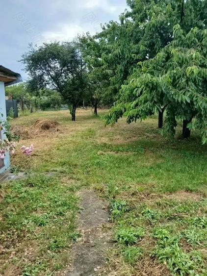 Casa deosebita de vanzare - 1