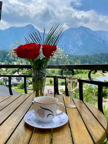 VILA CARTIER ZAMORA//BUSTENI - 7