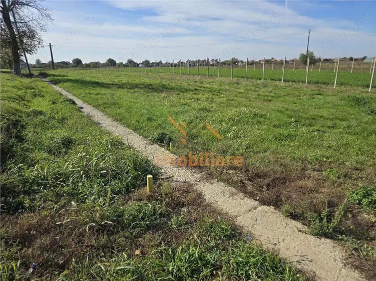 TEREN INTRAVILAN | 1400 MP | GIRISU DE CRIS - 4