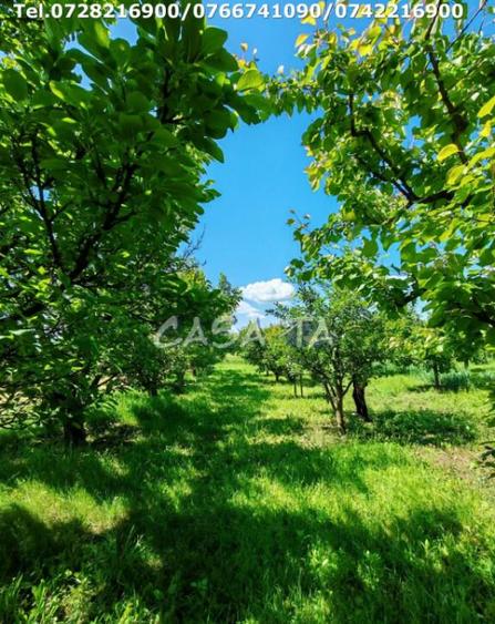 Casa situata in Samarinesti, sat Valea Bisericii - 9