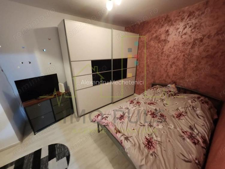 Mobilat si utilat. Mijloace de transport. Sagului