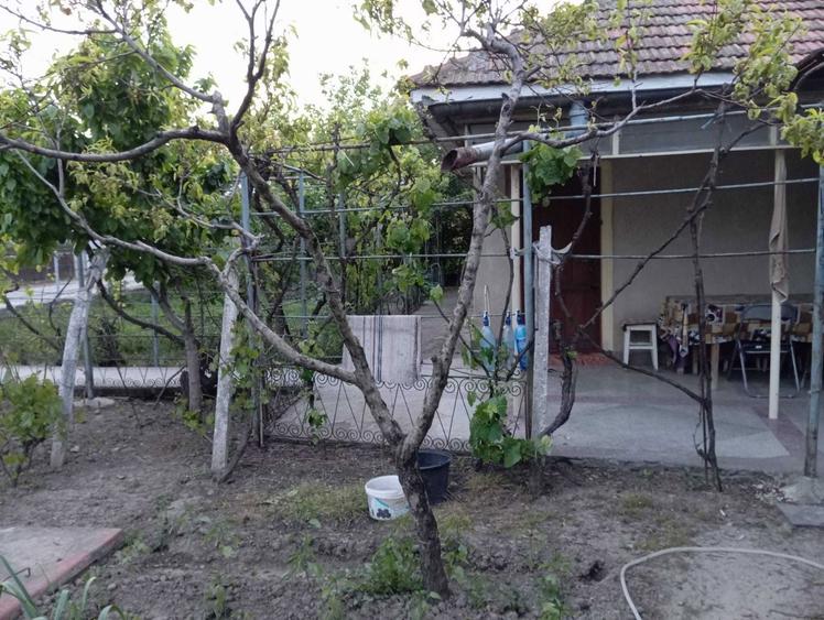 Vand casa in zona Fetesti - 1