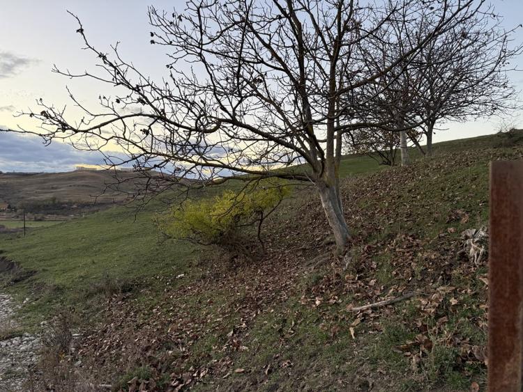 Teren Intravilan cu panorama in Borhanci Str Colonia Sopor 1000mp+85mp cota drum - 4