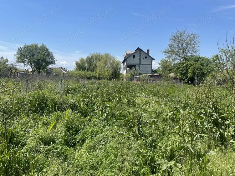 Imobil in Comuna Salcia Jud. Teleorman + 7500 mp teren intravilan - 9