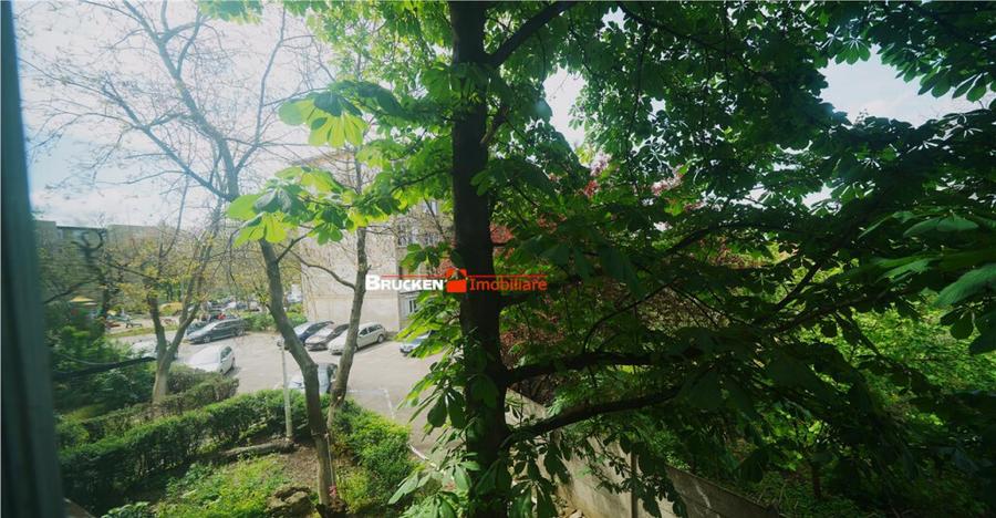 APARTAMENT 2 CAMERE | ETAJ 1 | BORSECULUI - 4