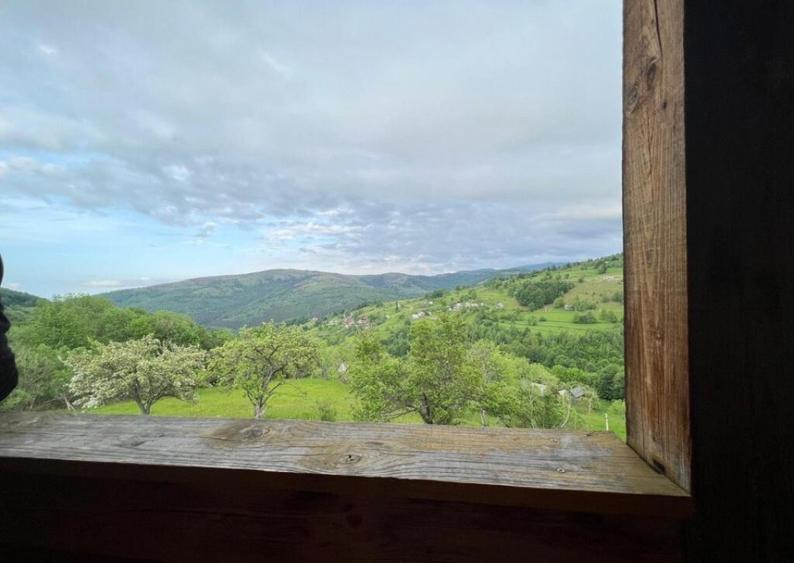 Cabana de 210mp, 2600 mp teren, in Rachitele - 8