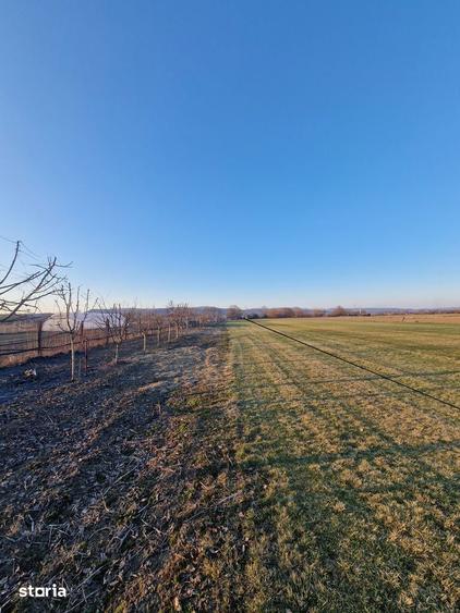 DEJ, Teren Intravilan, 7300mp cu utilitati, Str. Sarata de Jos, nr 35 - 3