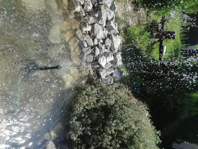 Vand casa in Susag - 7