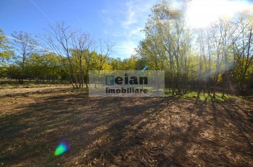 Snagov Ciofliceni Mânastire- Teren 1432 Mp, D 60 M, Curent Gaze Asfalt - 4