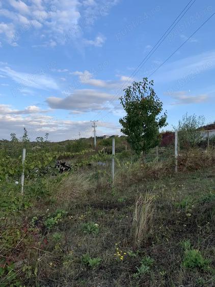 Ichiriez Teren ingradit cu apa si canalizare Oradea, str. Sofiei - 3