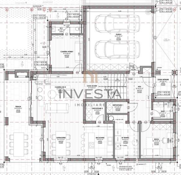 Casa individuala cu garaj dublu in Faget! 231 mp utili + 900 mp teren! - 3