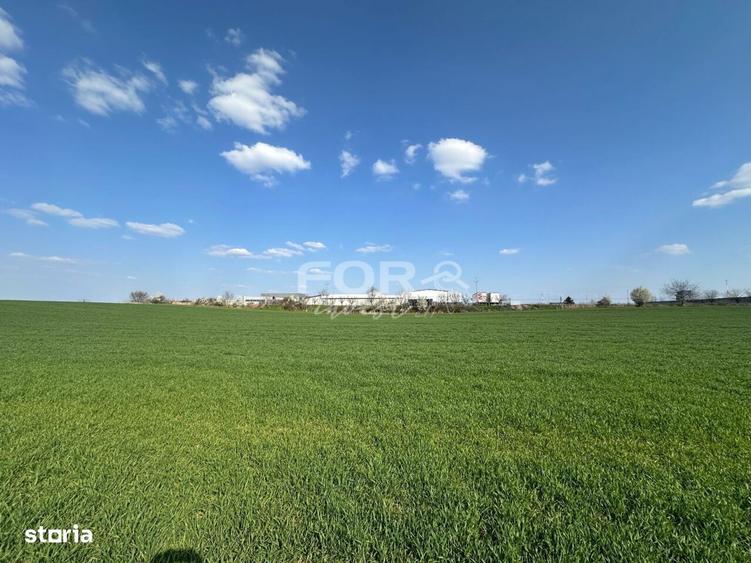 Teren intravilan de vanzare 1000 mp zona Aeroport Oradea - 2
