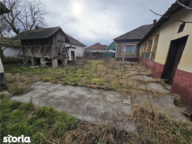 RECO Casa in Boiu - 3