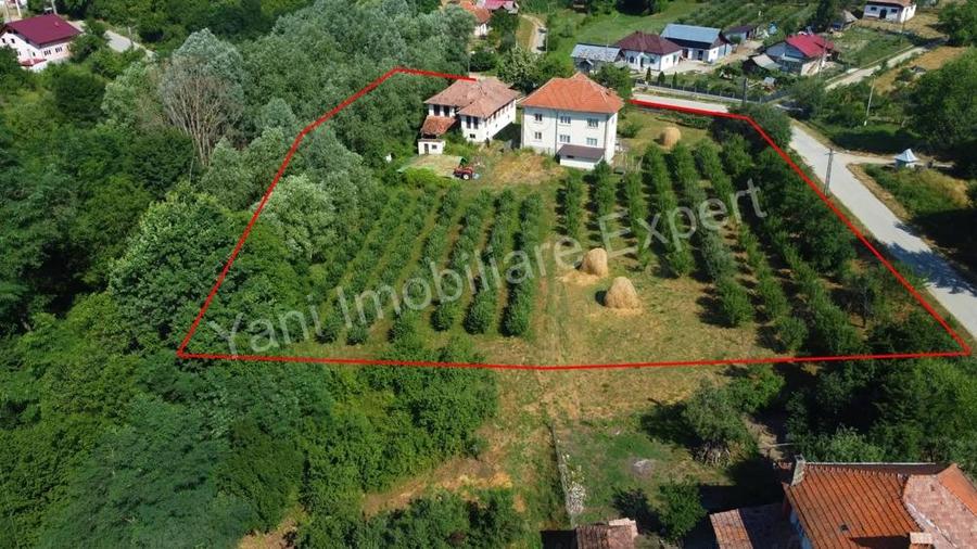 Casa + 6100 mp teren de vanzare in comuna Cepari, sat Urluie?ti, jude? Arge?. - 9