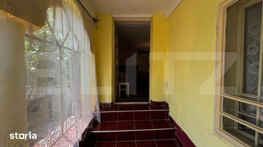 Proprietate cu 2 case, 3.345 mp teren, Balota de Jos, comuna Murgasi - 11