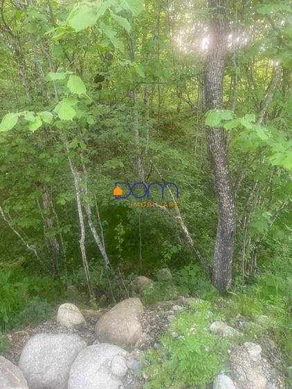 De vanzare teren intravilan 4235 mp Poiana Marului - 5