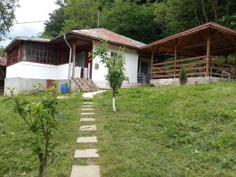 Vand Casa La Munte - 1