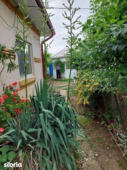 Vand casa de locuit si teren 4000 mp - 2