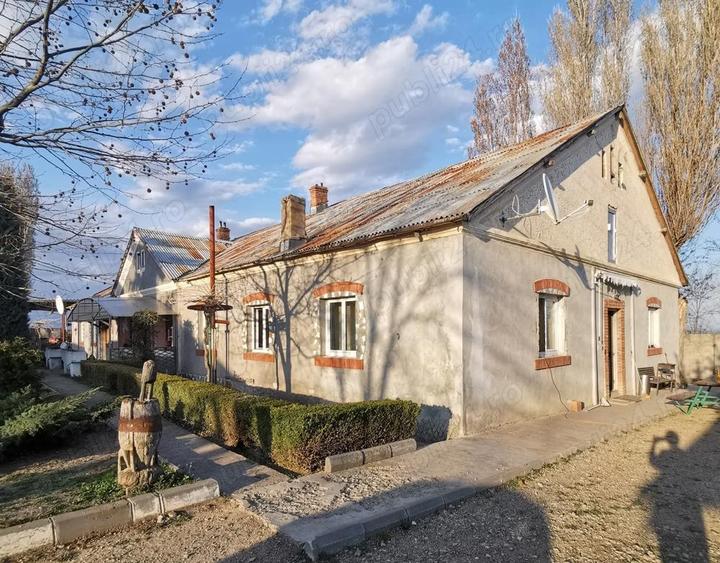 Inchiriere Asociere Crama tradi?ionala + curte mare in Podgoria Vrancea - 4