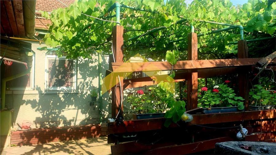 Casa la sol de vanzare Timisoara, zona Mehala - 1