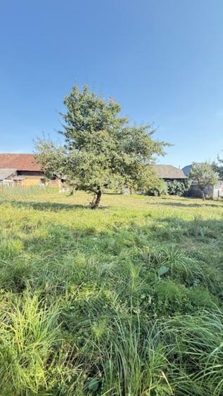 OCOLIS casa batraneasca cu sura si 14 ari teren! - 4