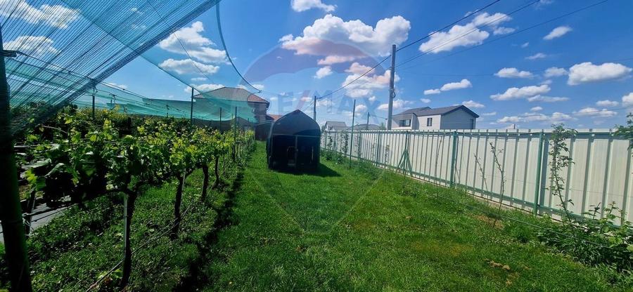 TEREN Investitie livada cu 116 pomi fructiferi in Comuna Livada - 2