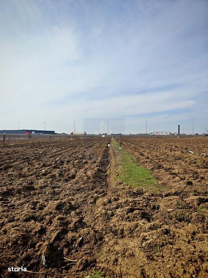Teren de Vanzare Industrial Caciulati A3 - 2