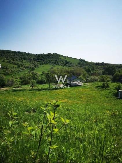 Teren cu cabane A-Frame și priveliște către Munții Făgăraș - 2