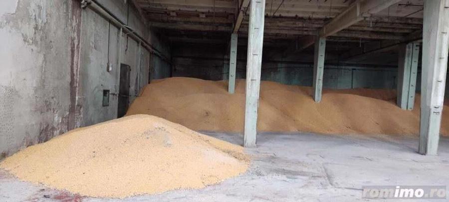 Hala ideala Oltenita - 2