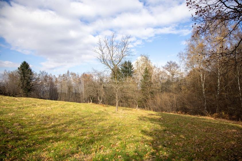 Teren intravilan, cu PUZ, Bran Tohanita,  SE ACCEPTĂ ȘI SCHIMB - 5