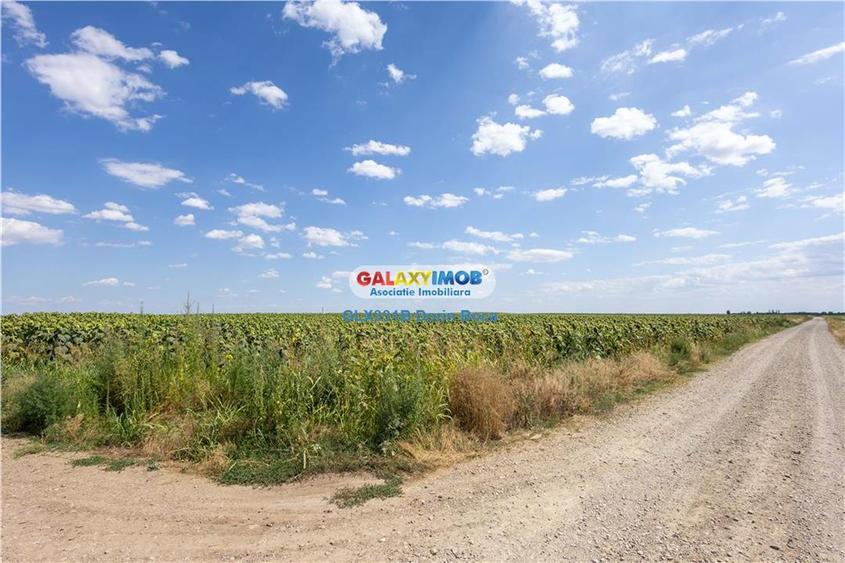 Teren agricol extravilan 2.6 ha - 26.000 mp - Valcelele, Buzau - 9