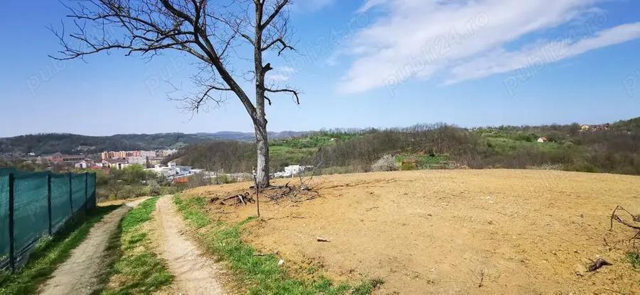 Parcele intravilan cu extravilan Calea Caransebesului km 2 loturi de 1000 mp negociabil - 6