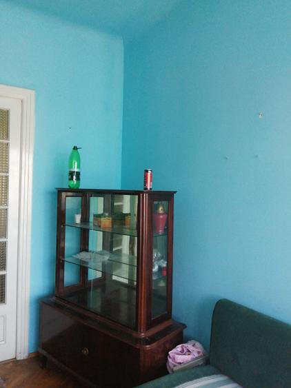 Vânzare 2 vile singur curte Banu Manta - 6