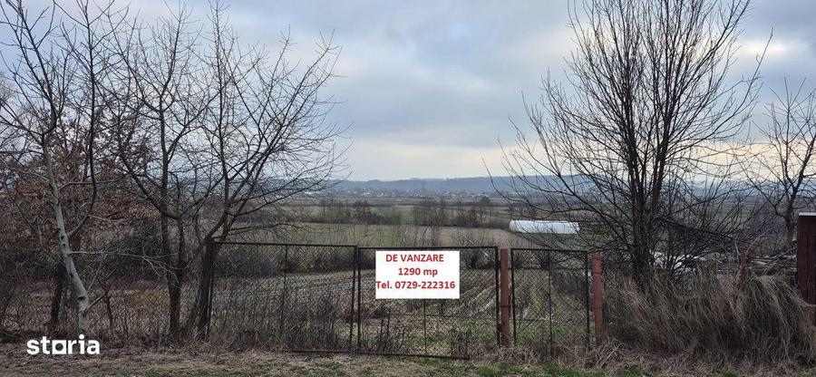 Teren de vanzare, 1290 mp, Coltau Maramures - 10
