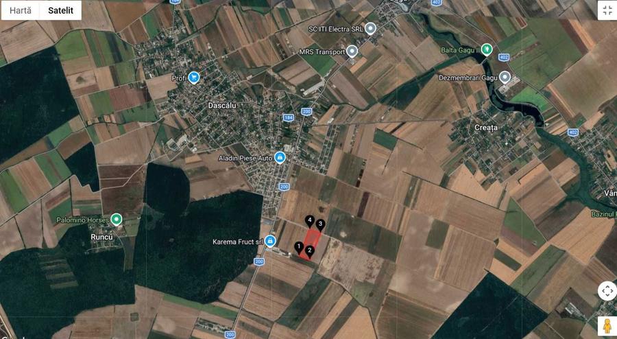 Teren de vanzare Dascalu, Ilfov - 1