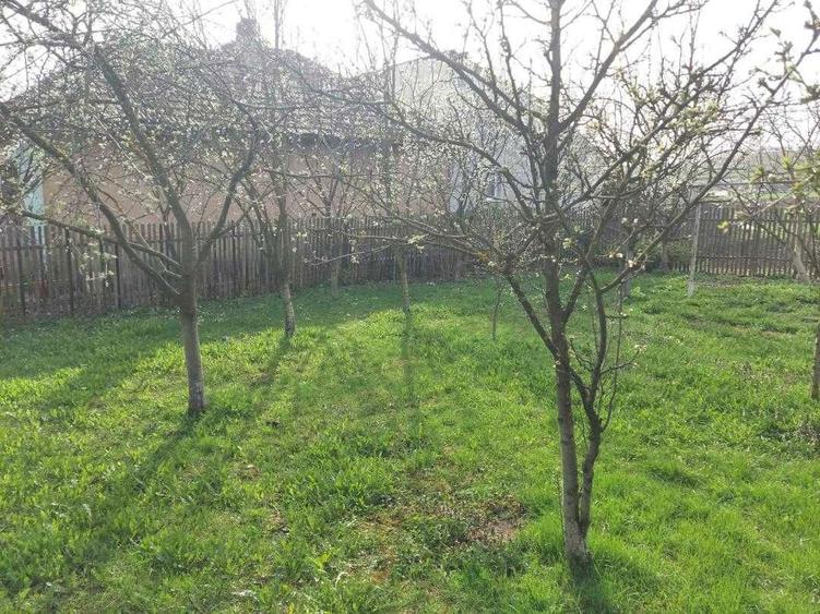 Casa de vanzare cu Teren 8600 mp, ICLOD, CLUJ - 2