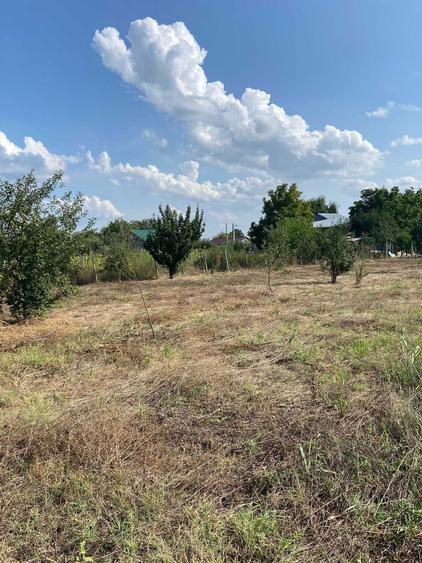 Vand Teren 1500 m2 (Sau 2 loturi a 750 m2 fiecare) (Pret negociabil) - 7