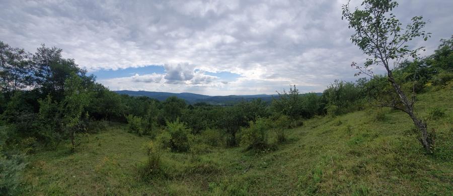 Teren intravilan – 9.000 mp, sat Ogretin, comuna Drajna, jud. Prahova - 6