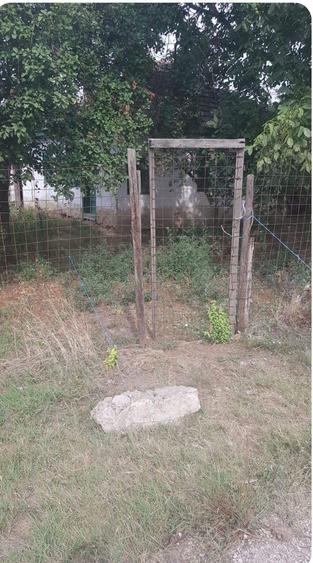 Casa batraneasca Pogoanele - 4