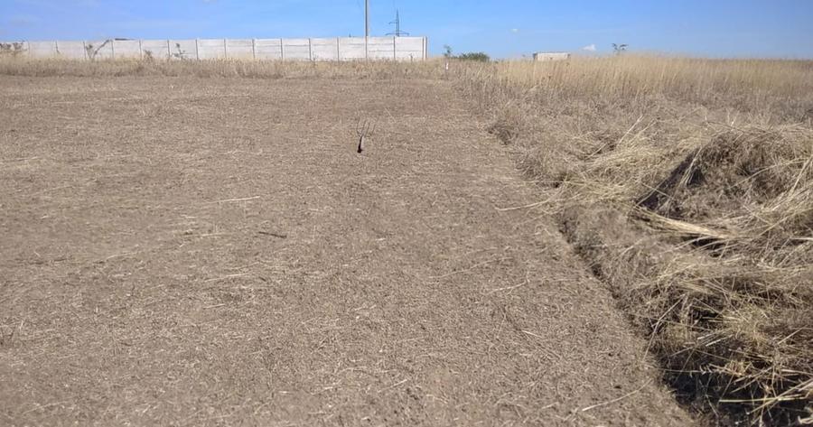 URGENT Teren zona Capsunarie Damila Selgros Strada LAMAITEI - 5