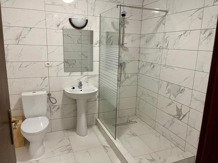Apartament/Garsoniera de inchiriat in Caransebes - 5