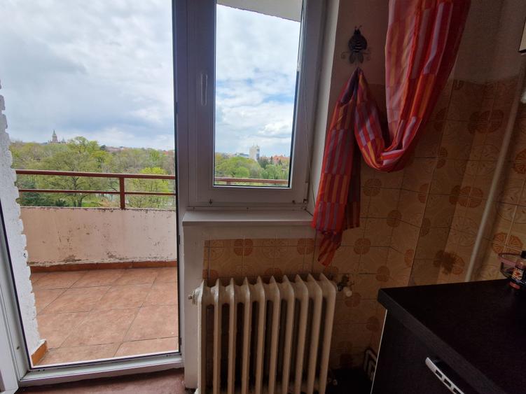 Pe cel mai frumos bulevard din oraș CORNELIU COPOSU-terasa cu vedere spre Bega - 30