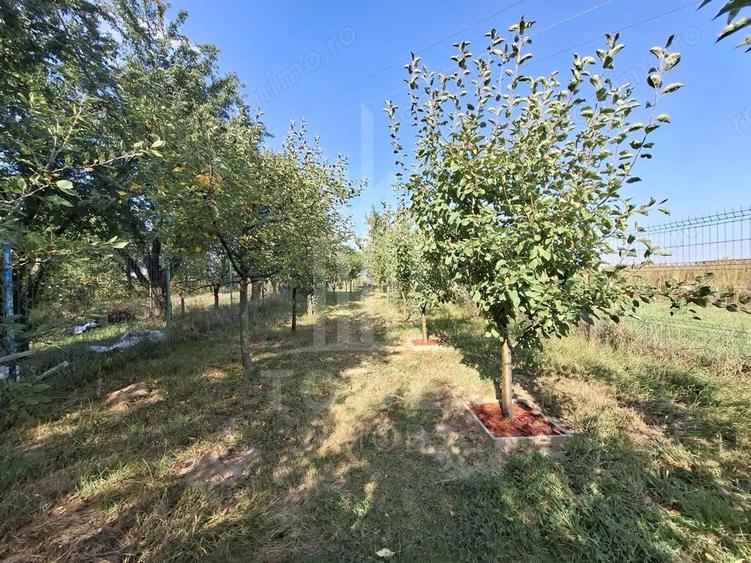 De vanzare casa in Orlat, cu teren generos de 2200 mp ?i panorama deosebita! - 15