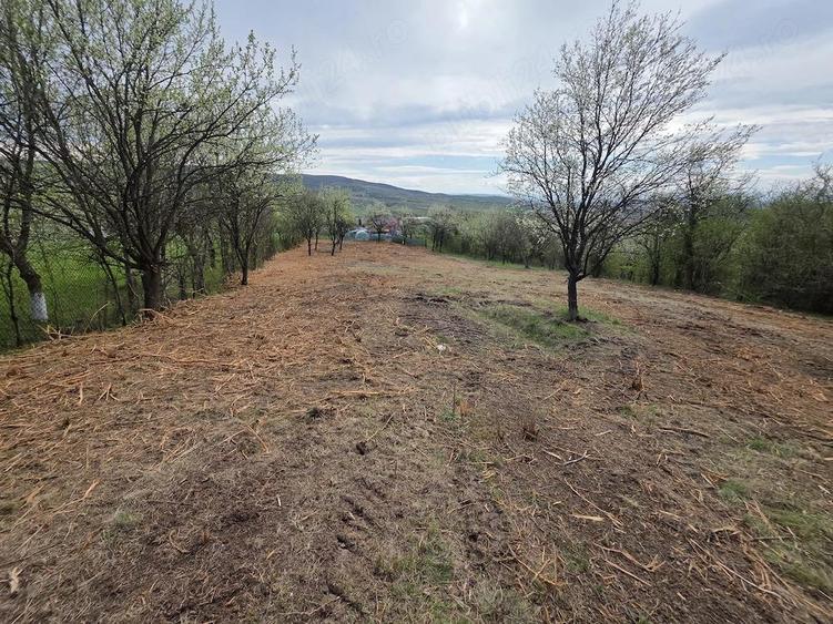 De vanzare teren intravilan 6704 mp Barsau, jud. Hunedoara - 15