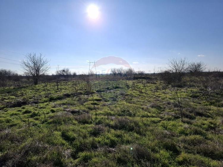 Vanzare teren intravilan Novaci, oras Mihailesti-Giurgiu, DJ 412 A - 8