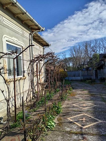 Vand Casa Boureni cu anexe si 2400 m/p - 1