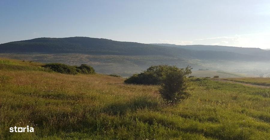 Teren intravilan 3750 mp, cu PUZ, zona platoului Radaia - 5